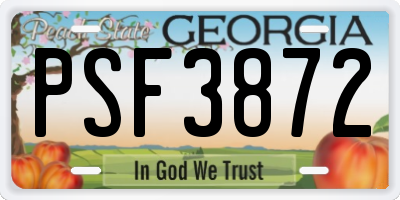 GA license plate PSF3872
