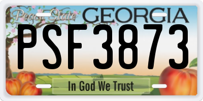 GA license plate PSF3873
