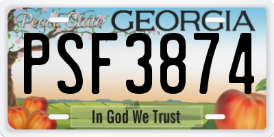 GA license plate PSF3874
