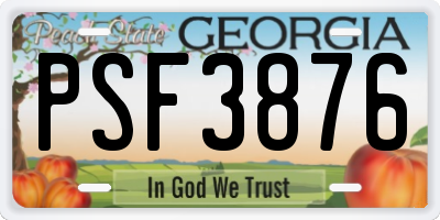 GA license plate PSF3876