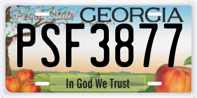 GA license plate PSF3877