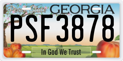 GA license plate PSF3878