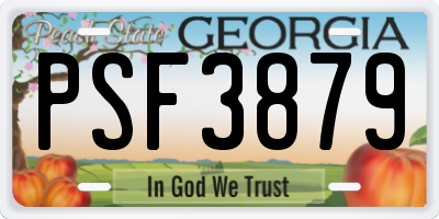 GA license plate PSF3879