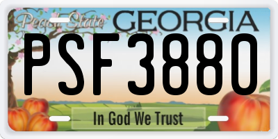 GA license plate PSF3880