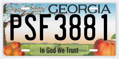 GA license plate PSF3881