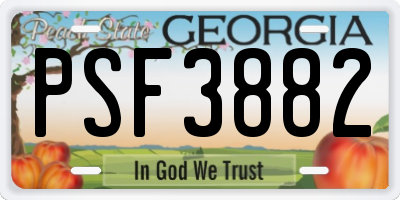 GA license plate PSF3882