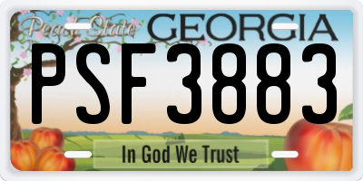 GA license plate PSF3883