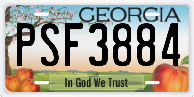 GA license plate PSF3884
