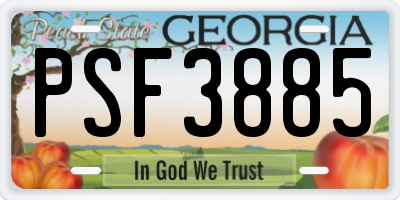 GA license plate PSF3885