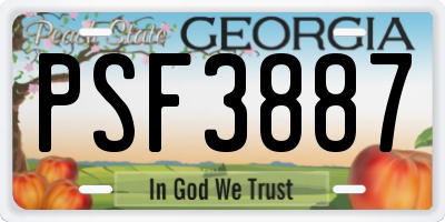 GA license plate PSF3887