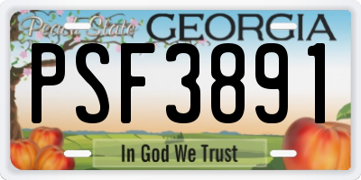 GA license plate PSF3891