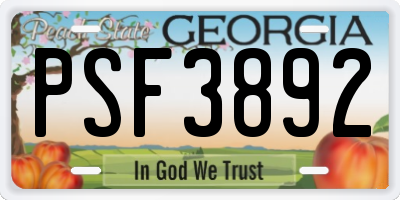 GA license plate PSF3892