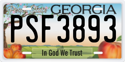 GA license plate PSF3893