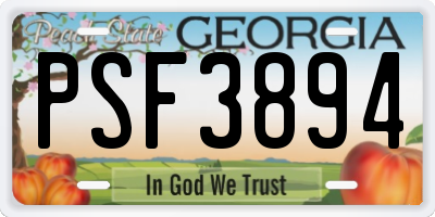 GA license plate PSF3894