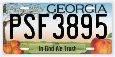 GA license plate PSF3895