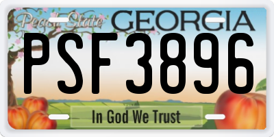 GA license plate PSF3896