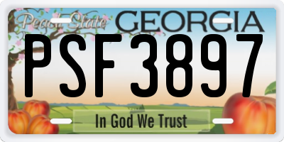 GA license plate PSF3897
