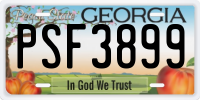 GA license plate PSF3899