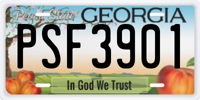 GA license plate PSF3901