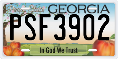 GA license plate PSF3902