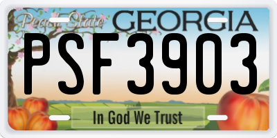 GA license plate PSF3903
