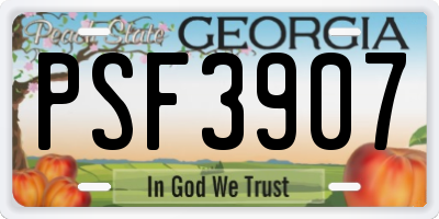 GA license plate PSF3907