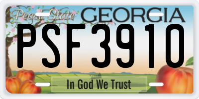 GA license plate PSF3910