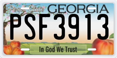 GA license plate PSF3913
