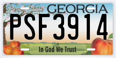 GA license plate PSF3914