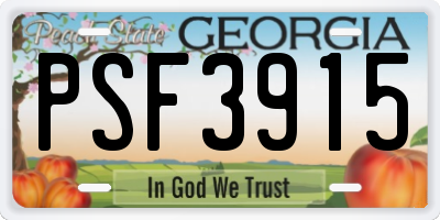 GA license plate PSF3915
