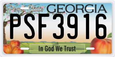 GA license plate PSF3916