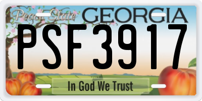 GA license plate PSF3917