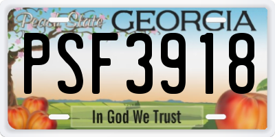 GA license plate PSF3918