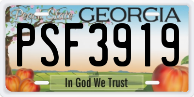 GA license plate PSF3919