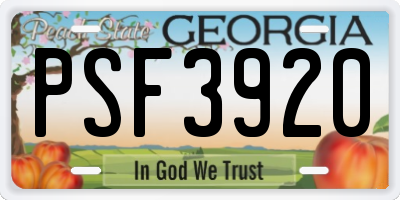 GA license plate PSF3920