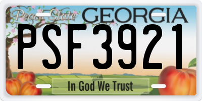 GA license plate PSF3921