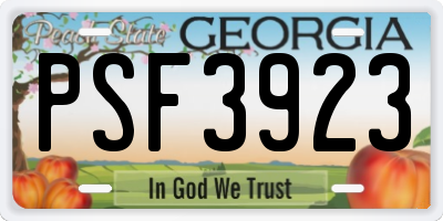 GA license plate PSF3923