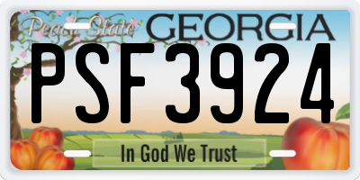 GA license plate PSF3924