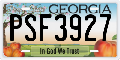 GA license plate PSF3927