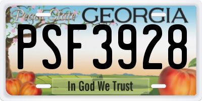 GA license plate PSF3928
