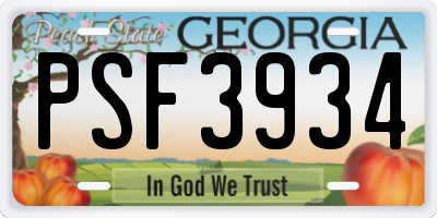 GA license plate PSF3934