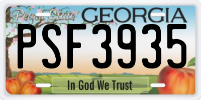 GA license plate PSF3935