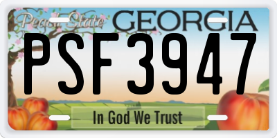 GA license plate PSF3947