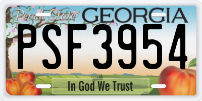 GA license plate PSF3954