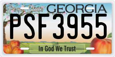 GA license plate PSF3955