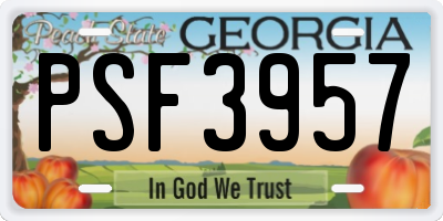 GA license plate PSF3957