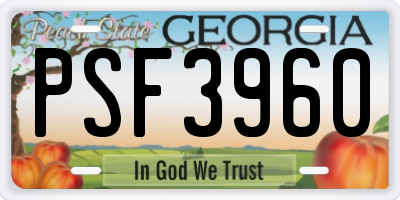 GA license plate PSF3960