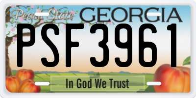 GA license plate PSF3961
