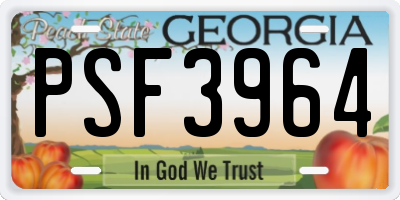 GA license plate PSF3964