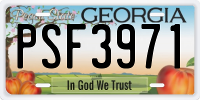 GA license plate PSF3971